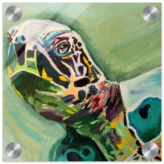 Colorful Turtle Acrylic Print